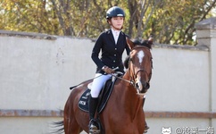 9877美女被虐图片